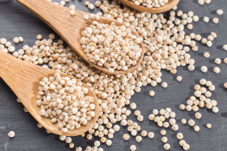 Cuillères en bois remplies de quinoa
